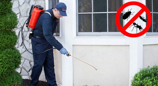 Çayırlı Karınca İlaçlama böcek ilaçlama ve haşere kontrolü — ilaclama-tr.com